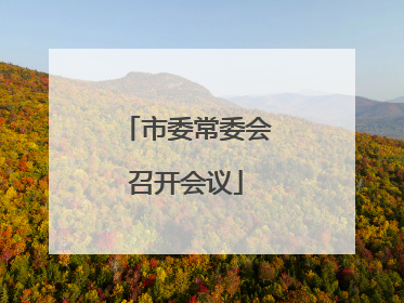 市委常委会召开会议