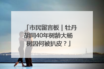 市民留言板｜牡丹胡同40年树龄大杨树因何被扒皮？