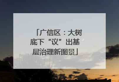 广信区：大树底下“议”出基层治理新图景
