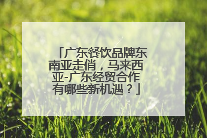 广东餐饮品牌东南亚走俏，马来西亚-广东经贸合作有哪些新机遇？