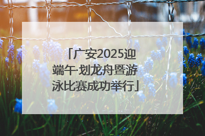 广安2025迎端午·划龙舟暨游泳比赛成功举行