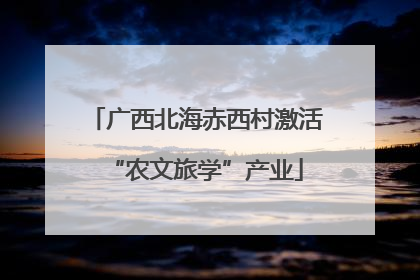 广西北海赤西村激活“农文旅学”产业