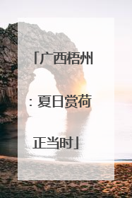 广西梧州：夏日赏荷正当时