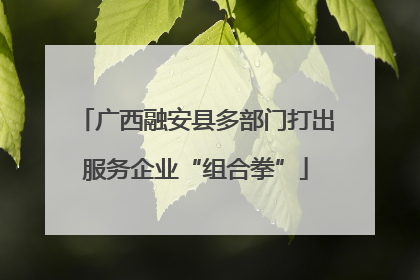 广西融安县多部门打出服务企业“组合拳”