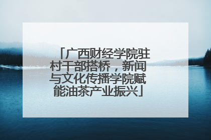 广西财经学院驻村干部搭桥，新闻与文化传播学院赋能油茶产业振兴