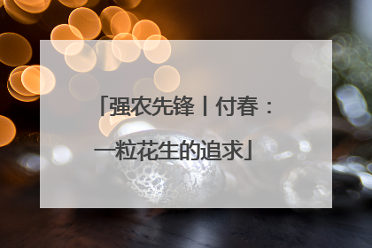 强农先锋丨付春：一粒花生的追求