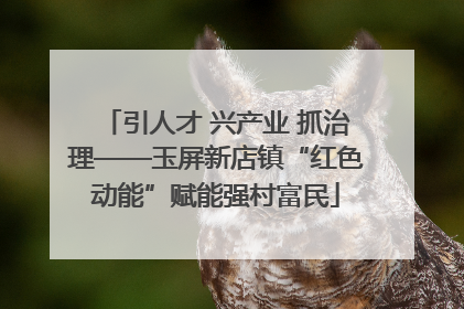 引人才 兴产业 抓治理——玉屏新店镇“红色动能”赋能强村富民