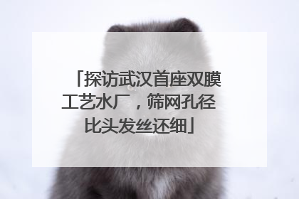 探访武汉首座双膜工艺水厂，筛网孔径比头发丝还细
