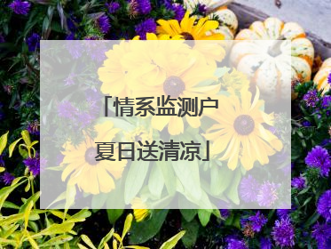 情系监测户 夏日送清凉