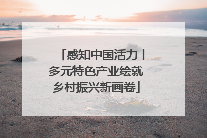 感知中国活力丨多元特色产业绘就乡村振兴新画卷
