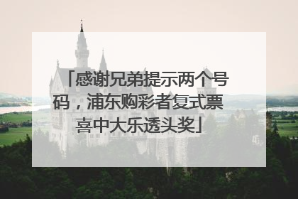 感谢兄弟提示两个号码，浦东购彩者复式票喜中大乐透头奖
