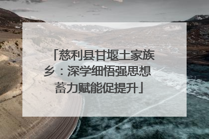 慈利县甘堰土家族乡：深学细悟强思想 蓄力赋能促提升