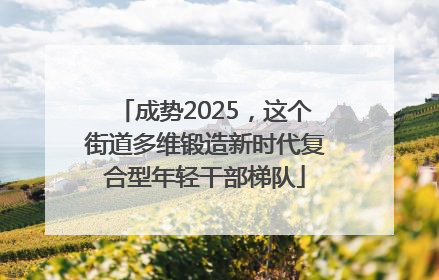 成势2025，这个街道多维锻造新时代复合型年轻干部梯队
