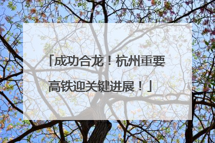 成功合龙！杭州重要高铁迎关键进展！