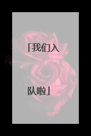 我们入队啦