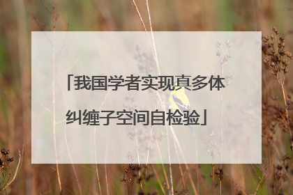 我国学者实现真多体纠缠子空间自检验