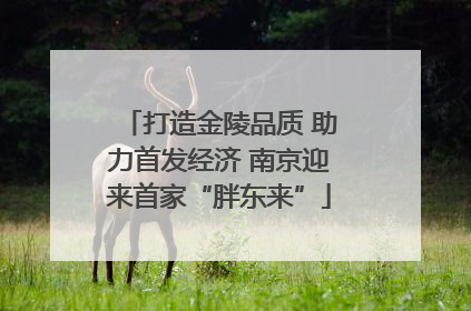 打造金陵品质 助力首发经济 南京迎来首家“胖东来”