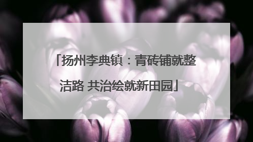 扬州李典镇：青砖铺就整洁路 共治绘就新田园