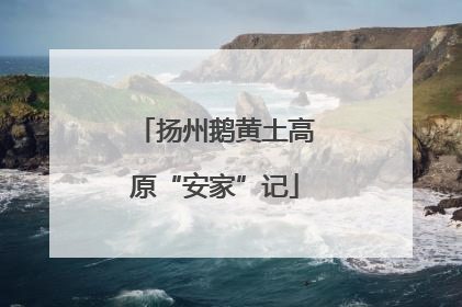扬州鹅黄土高原“安家”记