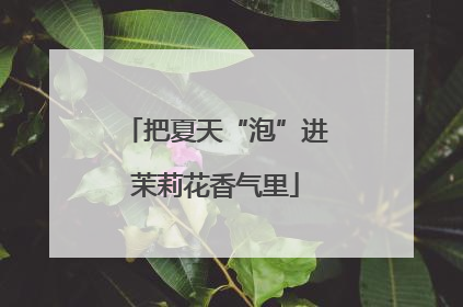 把夏天“泡”进茉莉花香气里