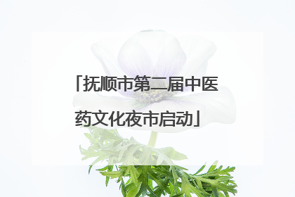 抚顺市第二届中医药文化夜市启动