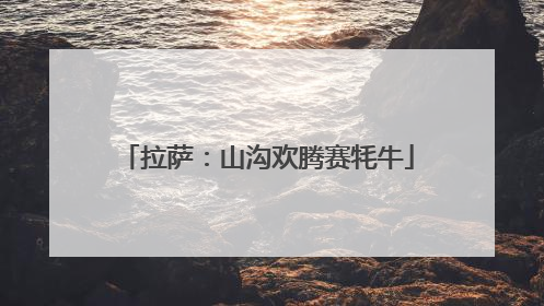 拉萨：山沟欢腾赛牦牛