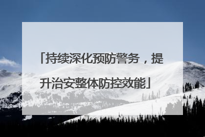 持续深化预防警务，提升治安整体防控效能
