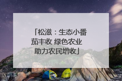 松滋：生态小番茄丰收 绿色农业助力农民增收