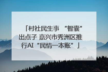 村社民生事 “智囊”出点子 嘉兴市秀洲区推行AI“民情一本账”