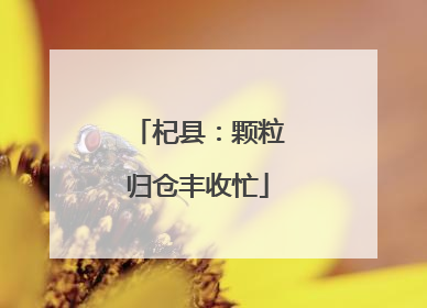 杞县：颗粒归仓丰收忙