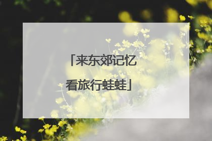 来东郊记忆 看旅行蛙蛙