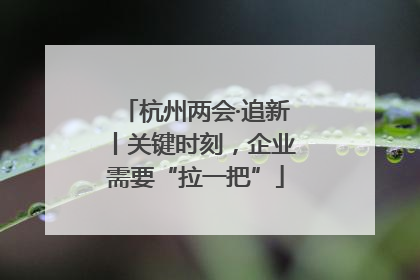杭州两会·追新丨关键时刻，企业需要“拉一把”