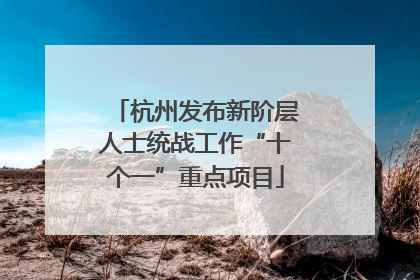 杭州发布新阶层人士统战工作“十个一”重点项目