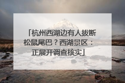 杭州西湖边有人拔断松鼠尾巴？西湖景区：正展开调查核实