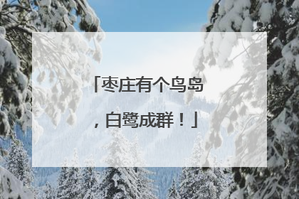 枣庄有个鸟岛，白鹭成群！