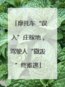 摩托车“误入”庄稼地，驾驶人“撒泼”终难逃