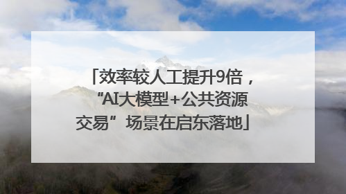 效率较人工提升9倍，“AI大模型+公共资源交易”场景在启东落地