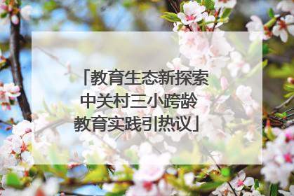 教育生态新探索 中关村三小跨龄教育实践引热议