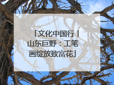文化中国行丨山东巨野：工笔画绽放致富花
