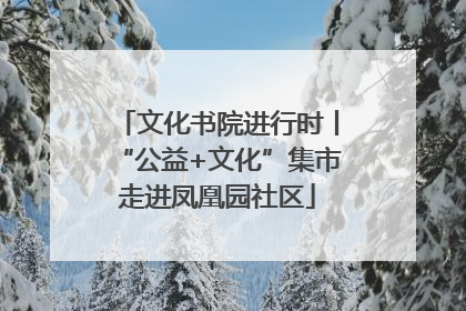 文化书院进行时丨“公益+文化”集市走进凤凰园社区