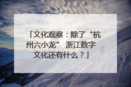 文化观察：除了“杭州六小龙” 浙江数字文化还有什么？