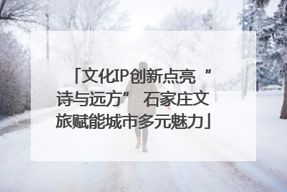 文化IP创新点亮“诗与远方” 石家庄文旅赋能城市多元魅力