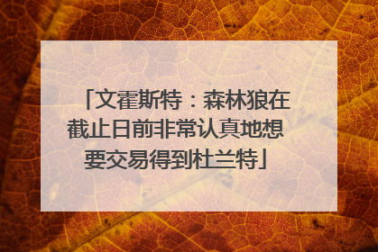 文霍斯特：森林狼在截止日前非常认真地想要交易得到杜兰特