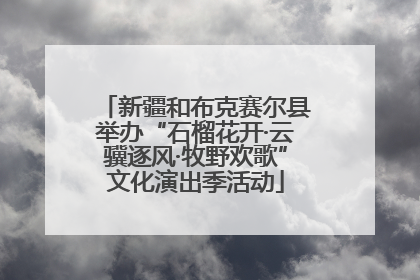 新疆和布克赛尔县举办“石榴花开·云骥逐风·牧野欢歌”文化演出季活动