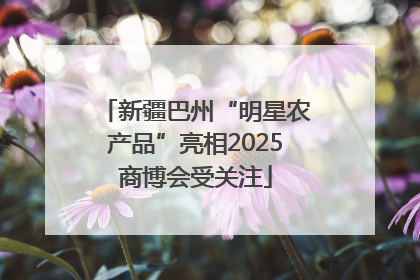 新疆巴州“明星农产品”亮相2025商博会受关注