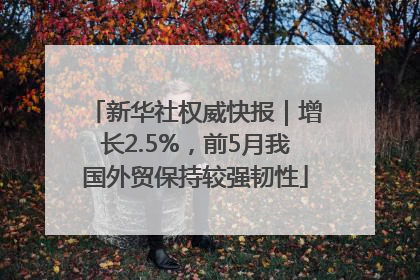 新华社权威快报｜增长2.5%，前5月我国外贸保持较强韧性