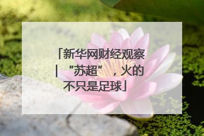新华网财经观察｜“苏超”，火的不只是足球