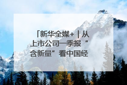 新华全媒+｜从上市公司一季报“含新量”看中国经济发展向“新”