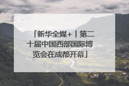 新华全媒+丨第二十届中国西部国际博览会在成都开幕