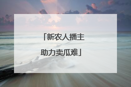 新农人播主 助力卖瓜难
